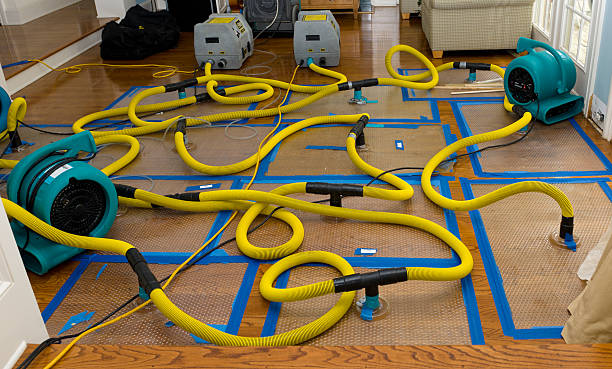 Professional Crawl Space Water Removal technician working in Dover, NC